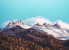 世界杯移动端安装指南-“满贯先生”登上顶峰 职业性和饥饿感成就最好莱万